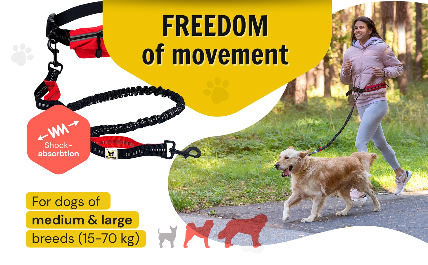 Dog Leash photo 13